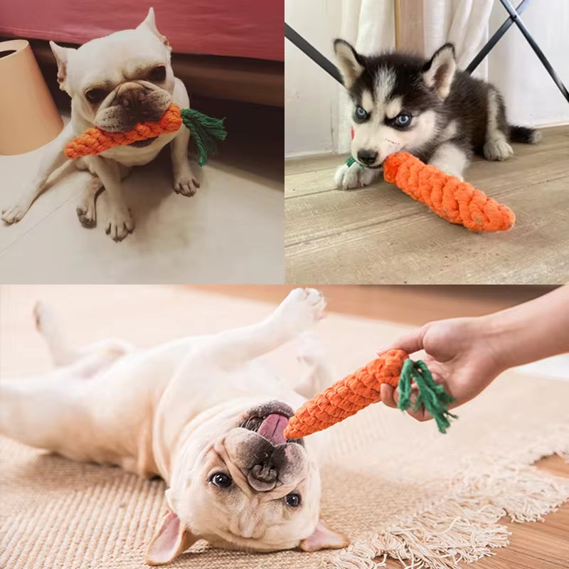 Unleash Joy & Play with Our Cartoon Animal Dog Chew Toys! 🐾 Durable, Fun & Dental-Friendly for Your Furry Friend! 🐶💚 #DogToys #PuppyPlaytime