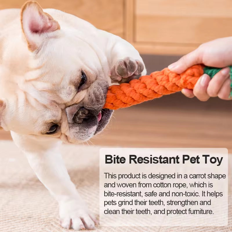 Unleash Joy & Play with Our Cartoon Animal Dog Chew Toys! 🐾 Durable, Fun & Dental-Friendly for Your Furry Friend! 🐶💚 #DogToys #PuppyPlaytime